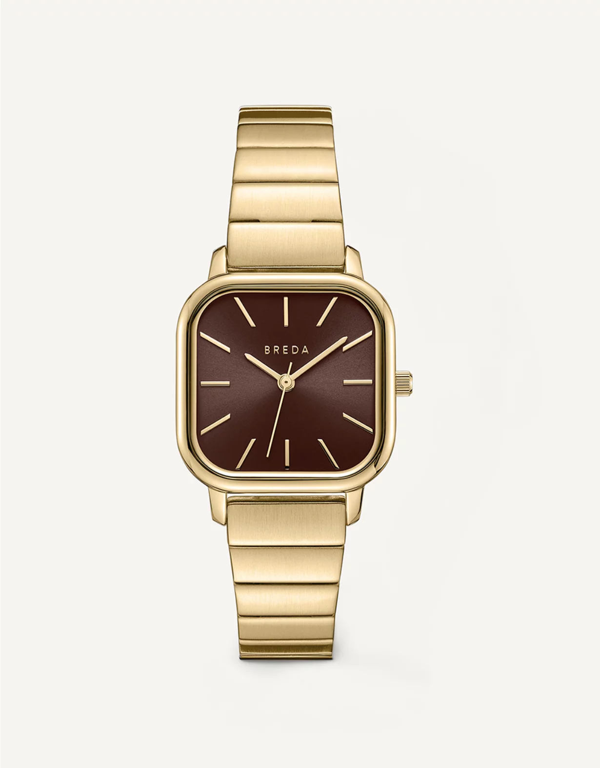 Aerie Breda Esther Watch Brown