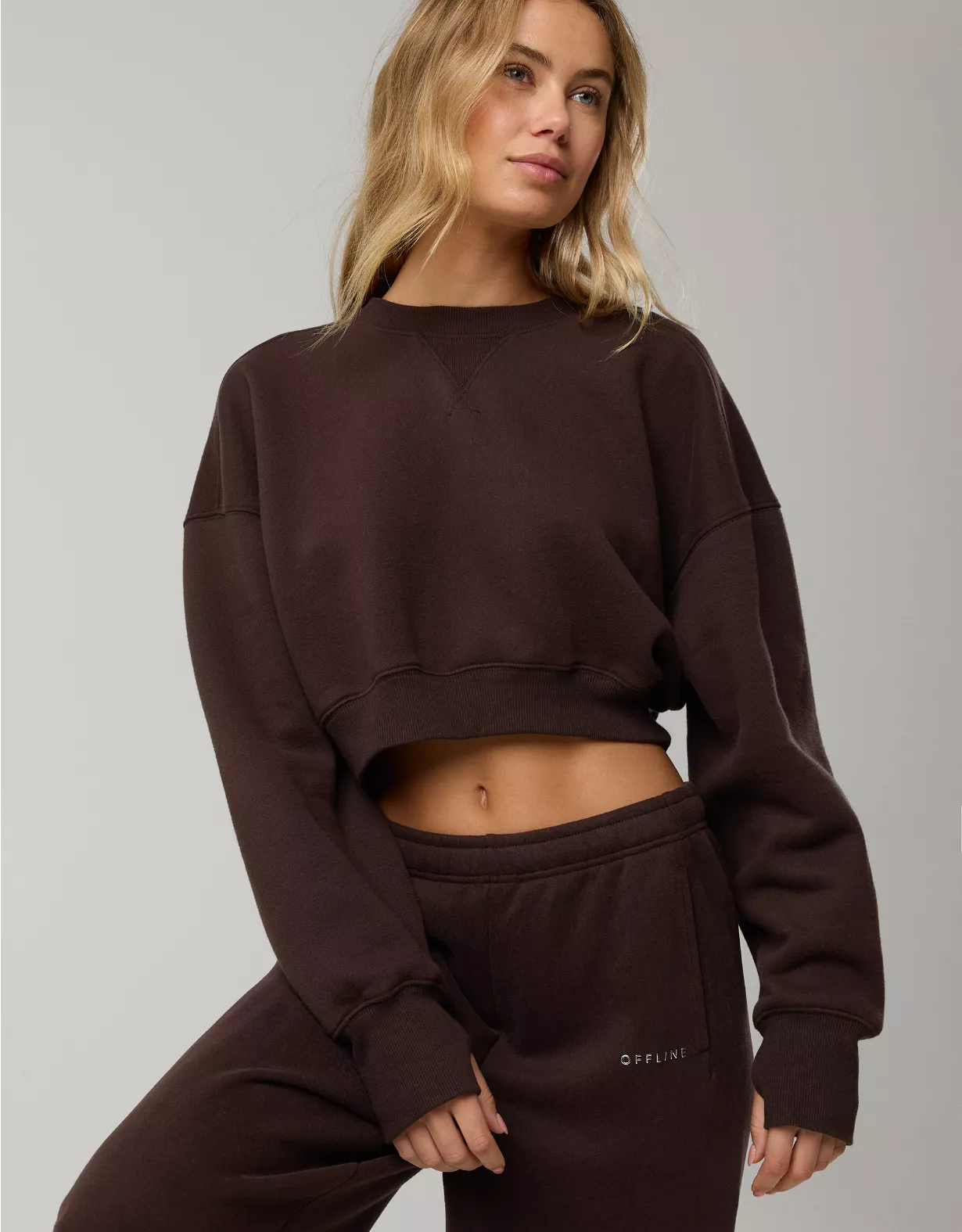 OFFLINE By Aerie Cloud Fleece Cropped Crewneck Sweatshirt Deep Earth