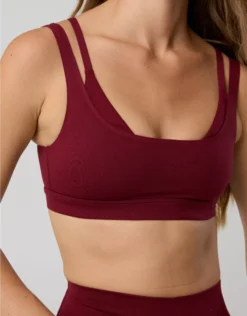 OFFLINE By Aerie The Hugger Layered Sports Bra Deep Cherry