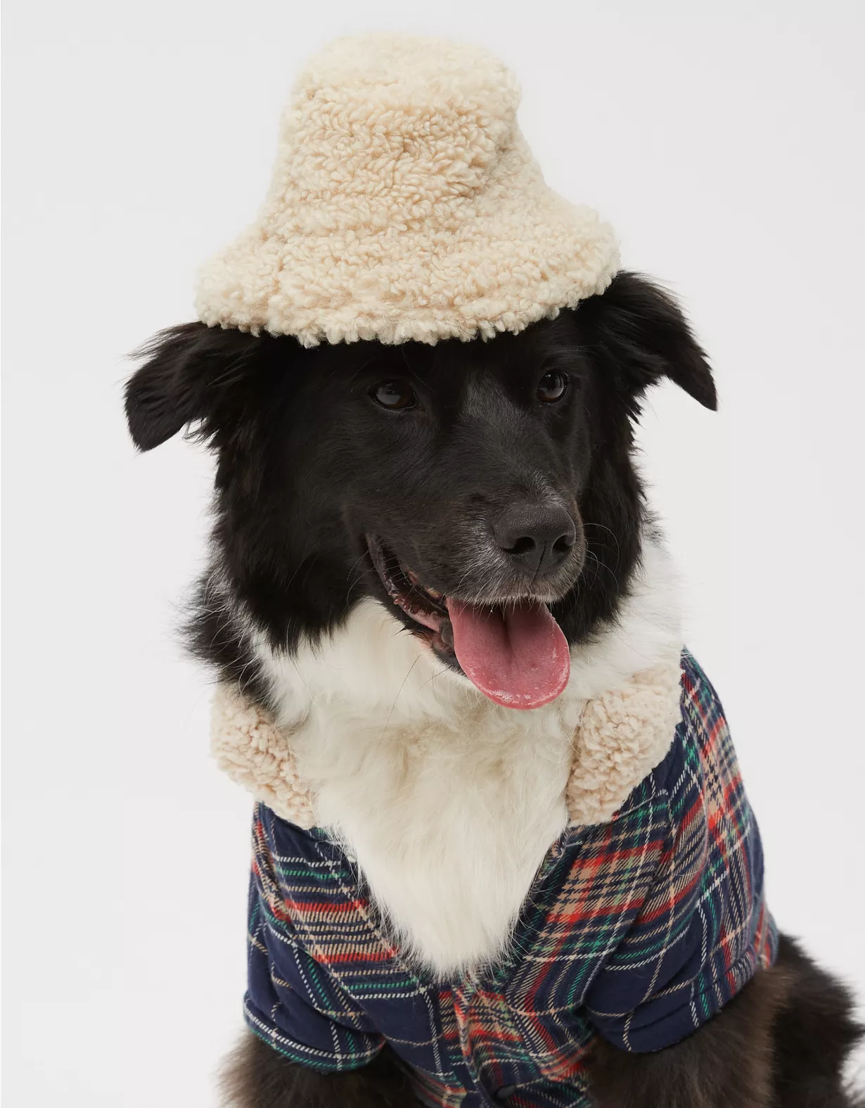OFFLEASH By Aerie Pet Sherpa Bucket Hat